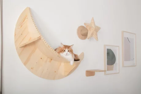 The Crescent Cat Perch