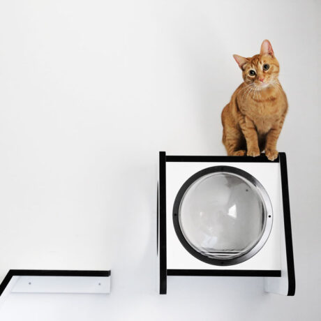 The SPUTNIK white wall bed