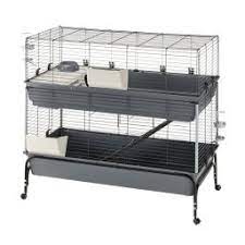Rodent Cages