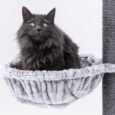 The CHARLOTTE CAT TREE Grey- 180 CM – XL