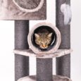 PetRebels – Cat Tree Victoria 125 (Cappuccino)