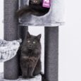 The CHARLOTTE CAT TREE Grey- 180 CM – XL