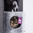 The CHARLOTTE CAT TREE Grey- 180 CM – XL