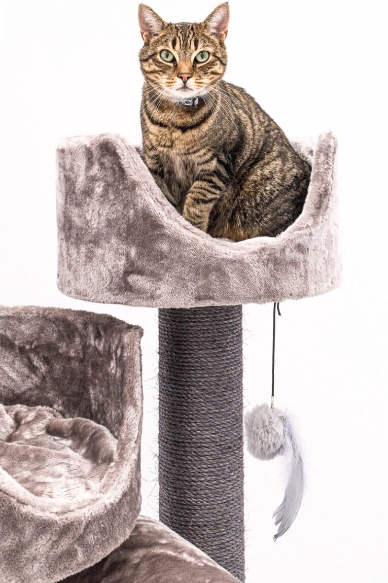 PetRebels – Cat Tree Victoria 125 (Cappuccino)