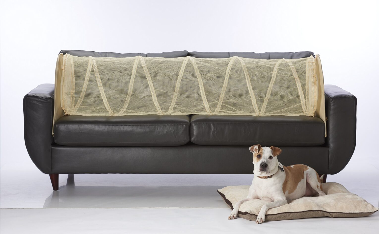 91pn10PLlML 1530x947 - Training Your Dog to Keep Off the Furniture