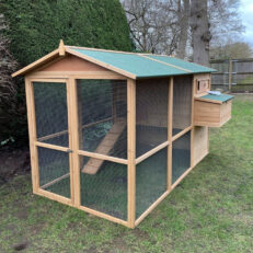Chicken Coops