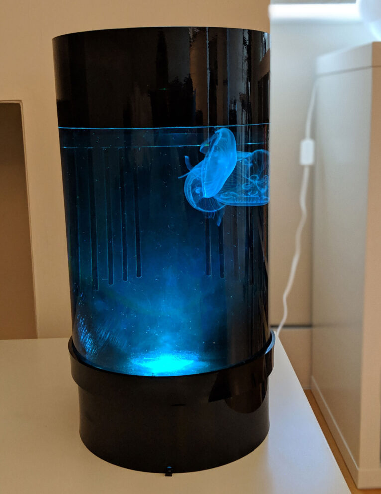 Jellyfish Nano Aquarium C8 – Starter kit