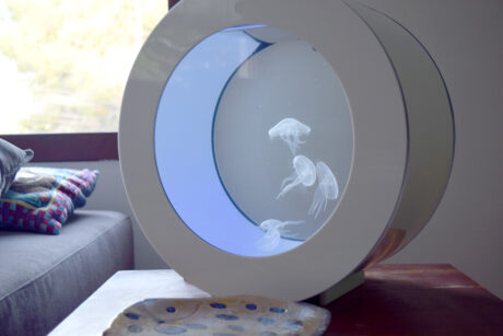 O16 Jellyfish Tank Starter Kit