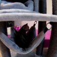 PetRebels – Cat Tree Scenic 197cm view (Grey)