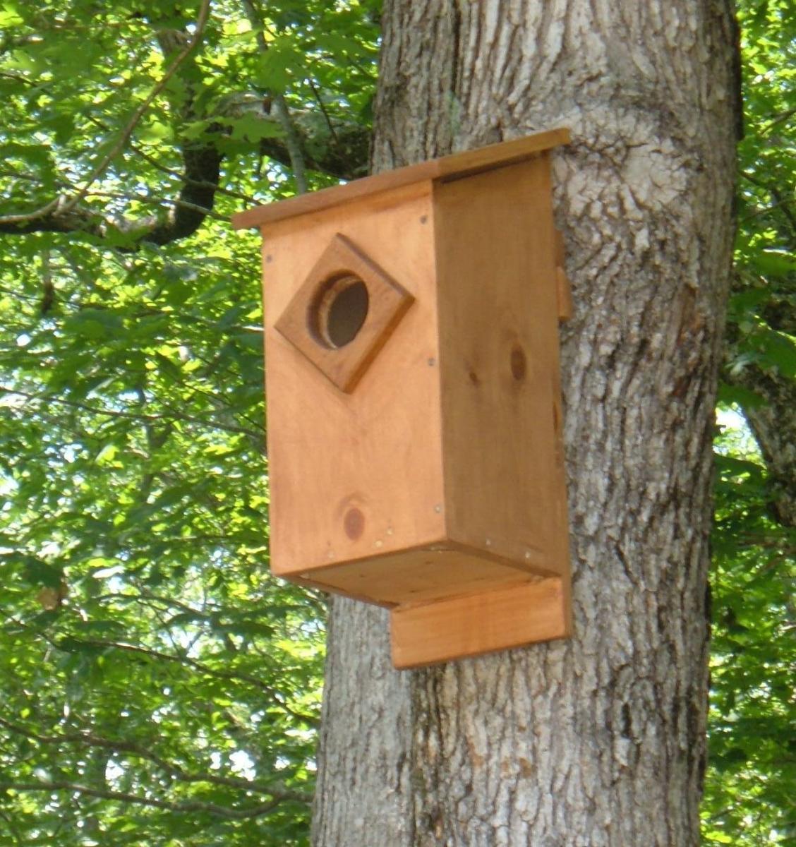 Can I Make an Owl’s Nest on My House?