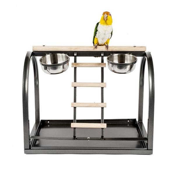 Parrot Play Stands: A Comprehensive Evaluation of the Pros and Cons