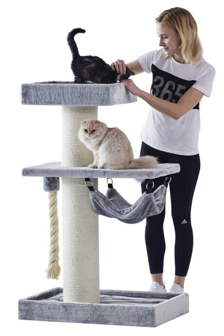 The Maine Coon SAMAR