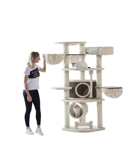 The Cat-scratcher “ELIF”