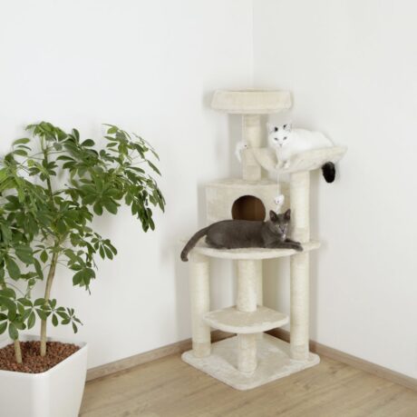 The Corner Cat Tree Zirkonia