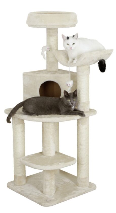 8162130 460x841 - The Corner Cat Tree Zirkonia