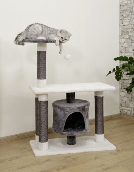 The Cat Tree Jade Darklight