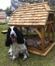 IMG 3095 231x276 - The Timber Framed Barn Dog Kennel