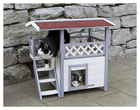 Ontario Cat House
