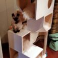 Catissa Freestanding Cat House