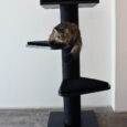 The Maine Cooon Royal Deluxe Cat Tree (Blackline)