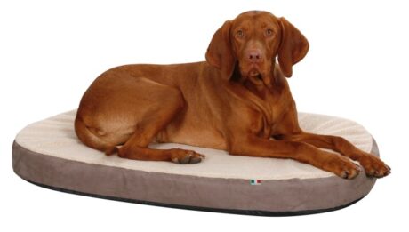 The Oval Dog Mattress Memory-Foam