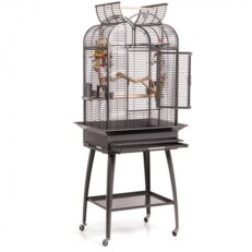 Bird Cage Brasil in stone colour 1 231x231 - Bird Cage Brasil in stone colour