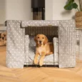 Dog Crate Set in Grey Spot