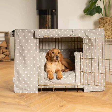 Dog Crate Set in Grey Spot