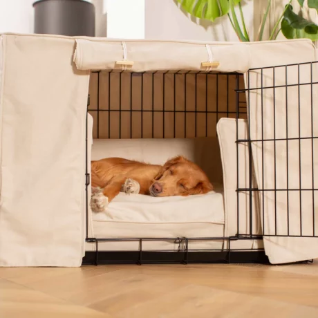 Dog Crate Set in Savanna Bone