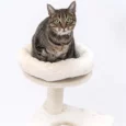 The Anya 89cm Cat Tree (Cream)