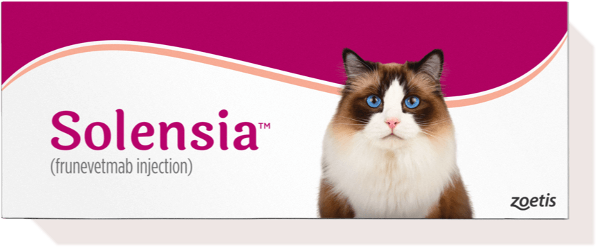 solensia package 2x - Solensia: A Revolutionary Once-Monthly Injection for Feline Arthritis
