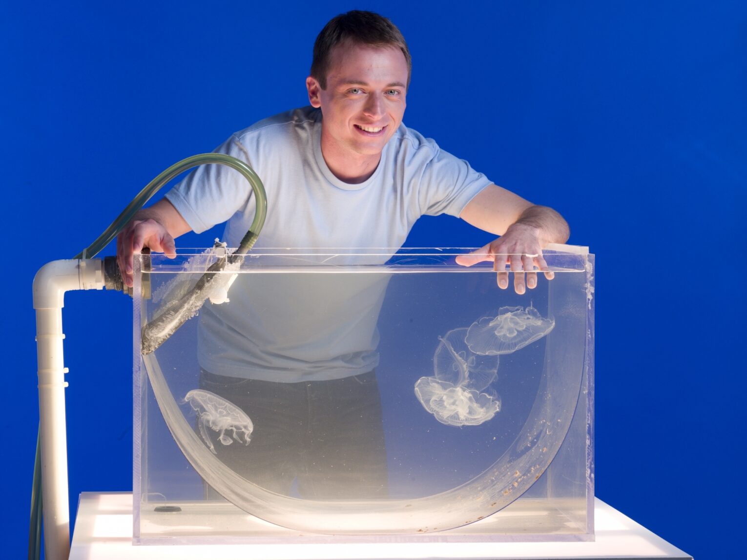 The Art of Maintaining a Jellyfish Tank: Tips and Tricks