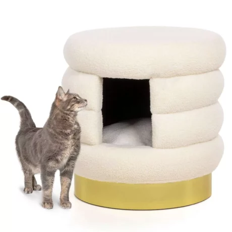 THE CAT CAVE CHOUPETTE