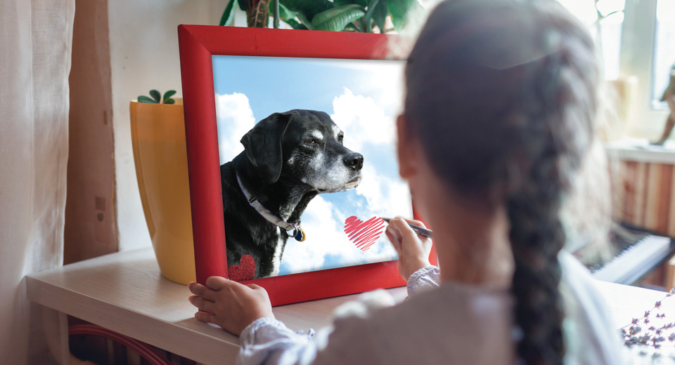 Navigating Pet Loss: How to Say Goodbye and Cope with Grief