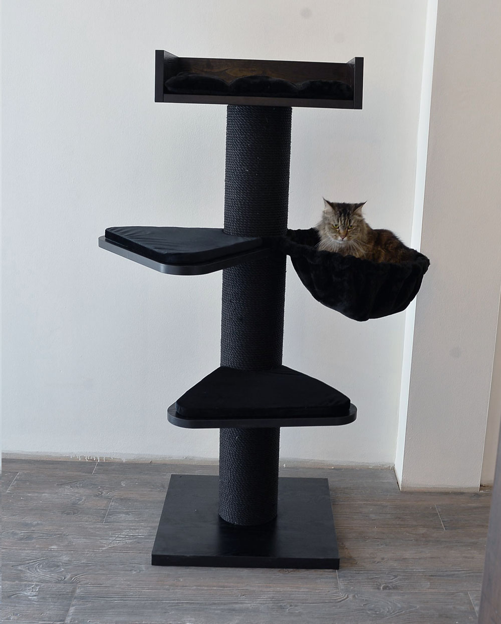 Safety First: Ensuring Your Maine Coon’s Cat Tree is Secure