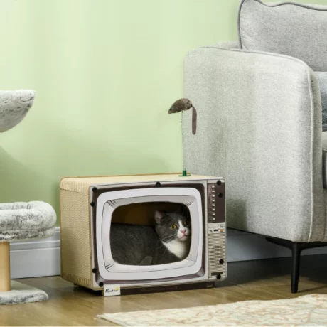 TV-Shaped Scratching House