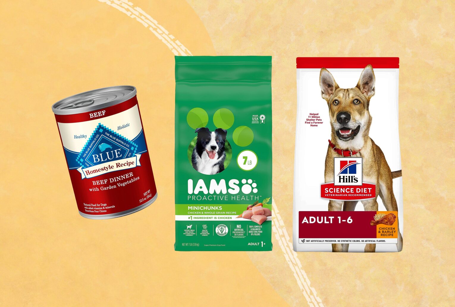 Fresh Dog Food: Is It Worth the Investment?