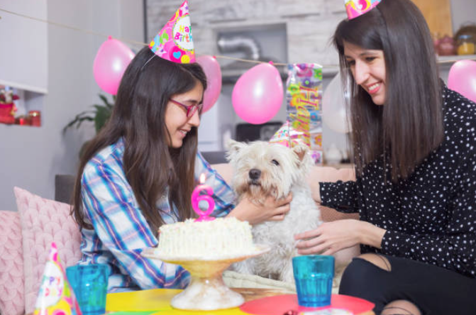 A Guide to Hosting Pet-Friendly Community Events