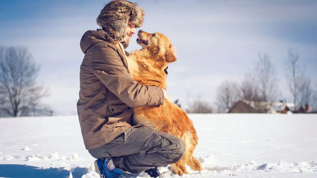 How to Keep Your Pets Cozy and Safe During Winter