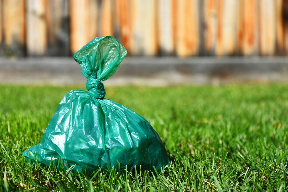 The Ultimate Guide to Professional Pet Waste Removal