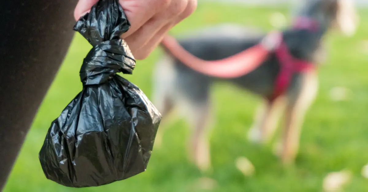 The Ultimate Guide to Professional Pet Waste Removal