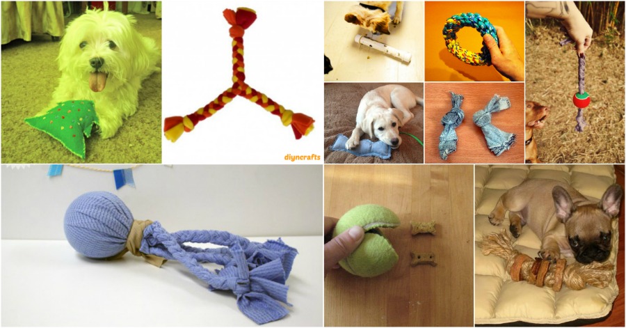 10 Easy DIY Dog Toys to Delight Your Furry Friend