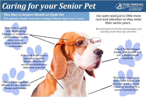 Managing Health Problems in Aging Pets