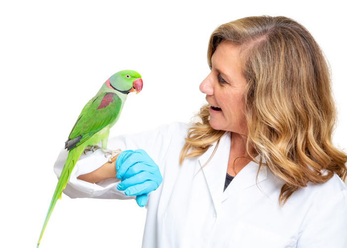 Avian Vets in Yorkshire & North East England