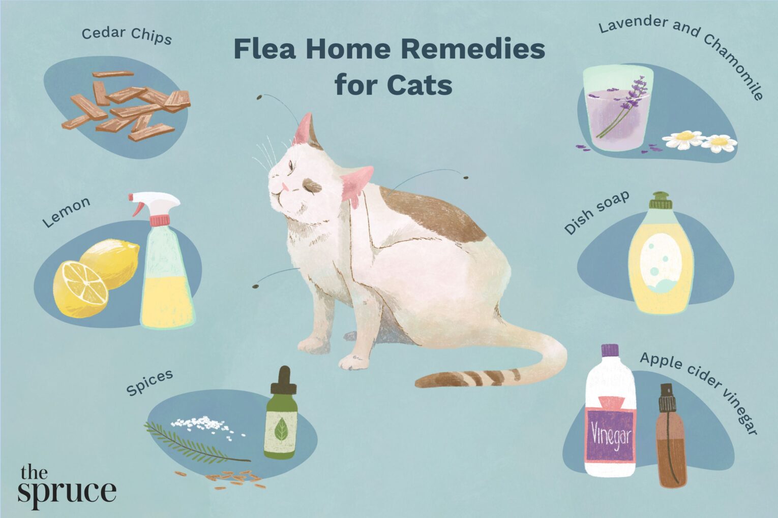 Effective Home Remedies to Safely Eliminate Fleas and Ticks from Your Pets