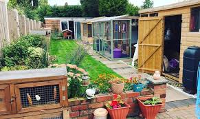 parrot boarding facilities in the UK