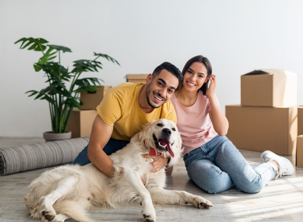 Essential Tips for Harmonious Apartment Life with Your Furry Friends