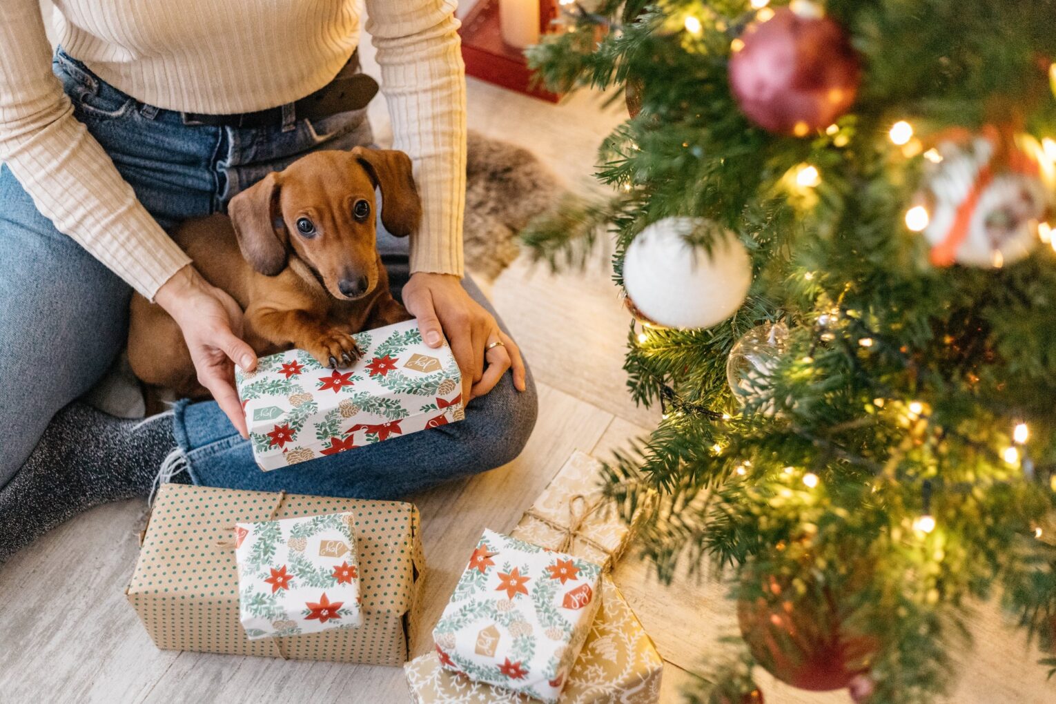 Exploring Heartwarming Pet Holiday Shopping Trends