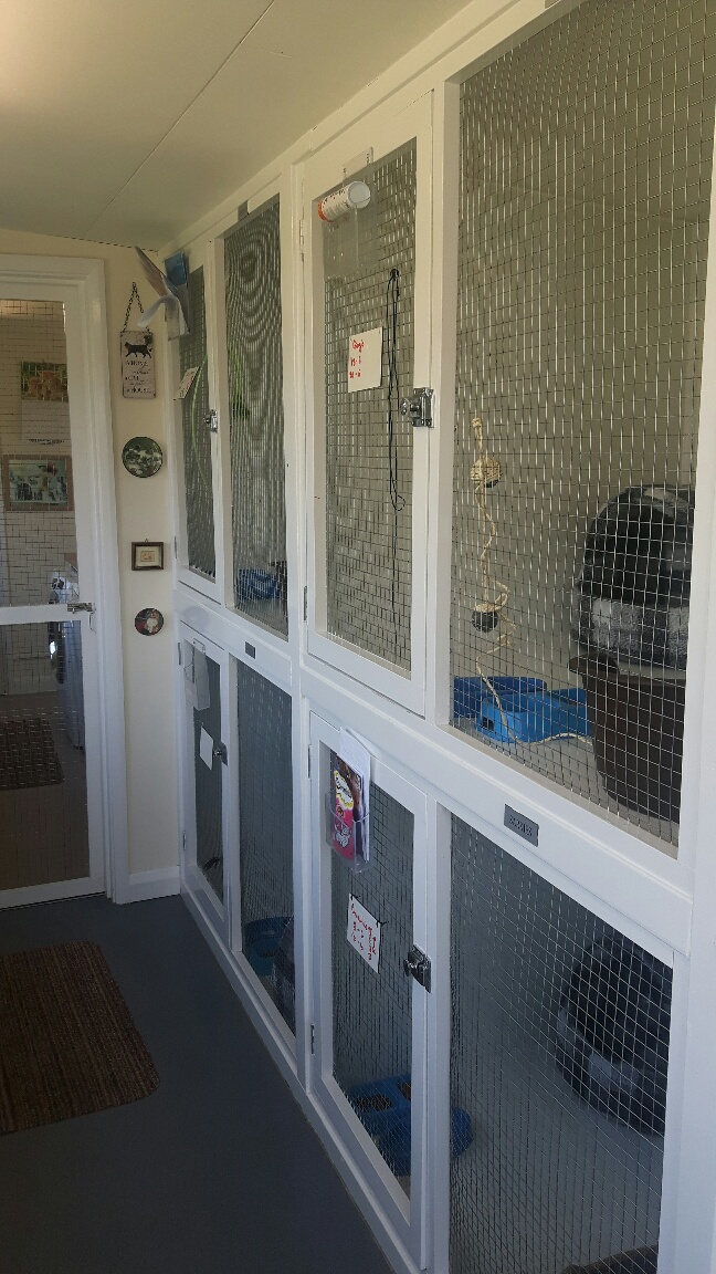 A Cozy Haven for Your Feline Friends: Paws Boarding Cattery