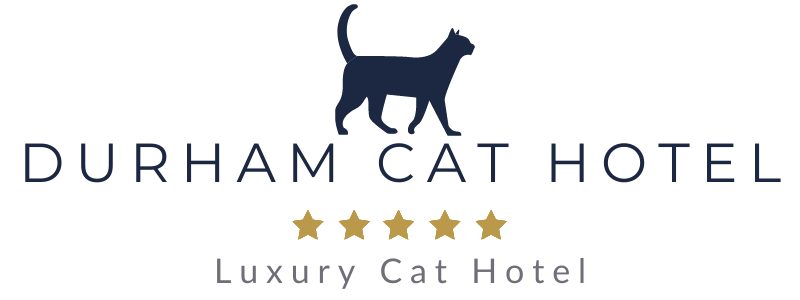 Durham Cat Hotel: A Five-Star Luxury Retreat for Your Feline Friend